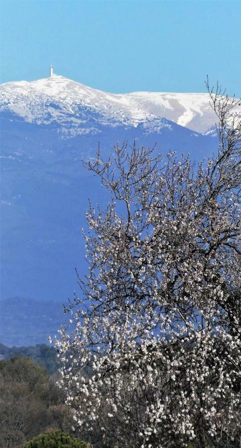 Appartamento Les Buis Carpentras Esterno foto